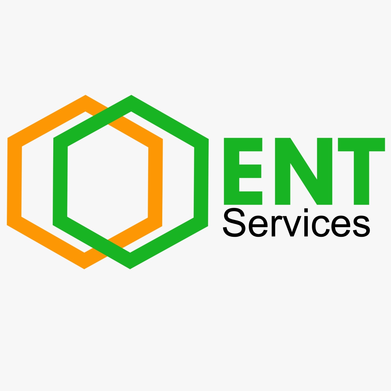 Logo Ent services group