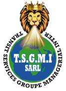 Logo TSGMI (TRANSIT SERVICES GROUPE MANAGERIALES INTER)