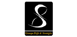 Logo GROUPE DEFIS ET STRATEGIE