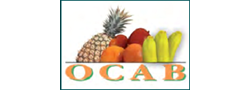 Logo OCAB (ORGANISATION CENTRALE DES PRODUCTEURS EXPORTATEURS D’ANANAS ET DE BANANES)