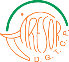 Logo Direction générale du trésor et  de la comptabilité publique	